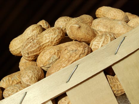 Peanuts