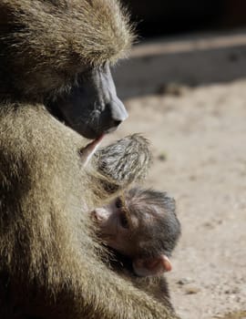 Proud mother
