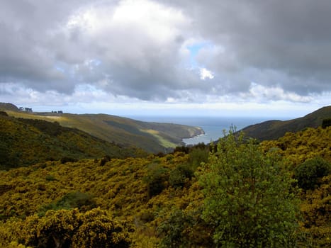 Hinewai Reserve near Christchurch
