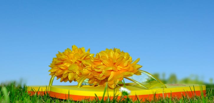 Summer feeling