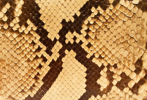 Snake pattern
