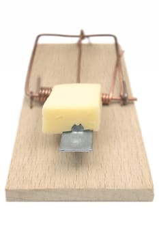 Mouse trap