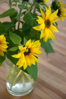 Sunflowers in a vase