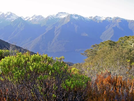 Alpine views in New Zealand