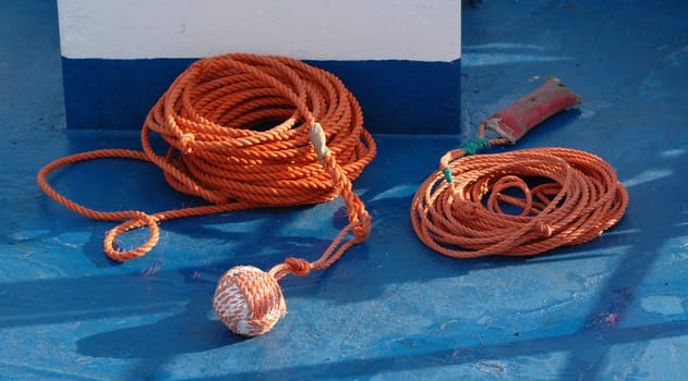Can any of you please tell me how exactly these ropes are called in sailor's language.