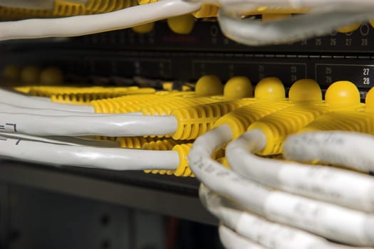 Network VI