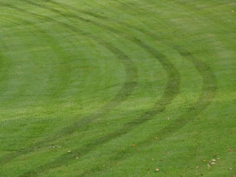 Golf turf