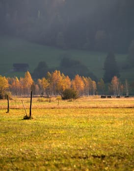 Moos Oberammergau