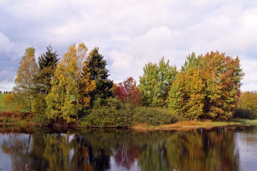 Golden Autumn