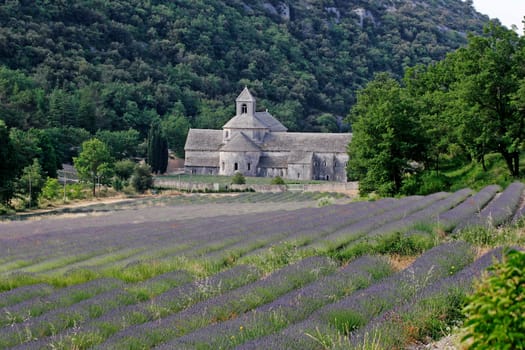 Abbaye Notre-Dame de Senanque,Provence