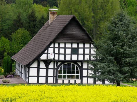 Eppendorf,half-timbered house with rapeseed field