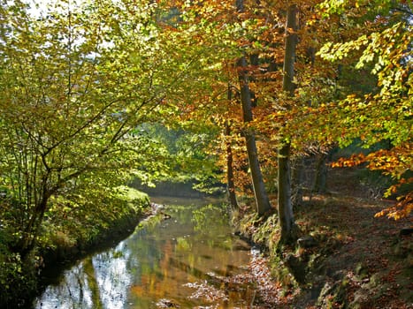 GMHütte-Kloster Oesede,Düte im Herbst