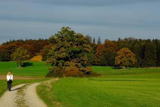 Autumn walk