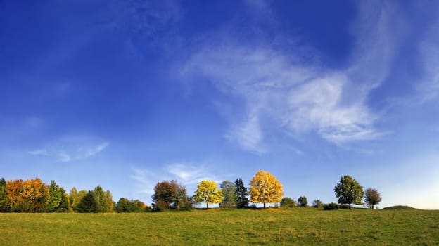 Autumn skies