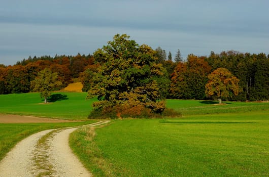 Autumn landscape
