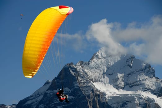 The feeling of floating in the thermals for hours must be indescribable