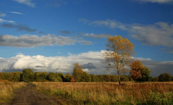 Even if we can't afford mountains,our landscape can be very charming,especially now in autumn............ dear Pete!:-)