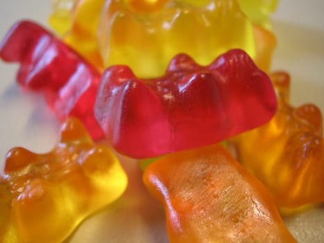 Rubber Bears
