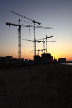 Morning cranes