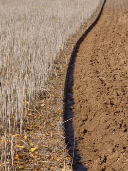 Arable boundary