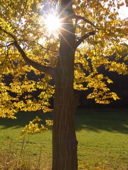 Golden October