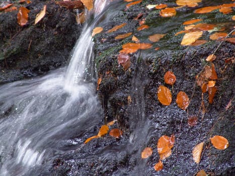 Autumn at the waterfall