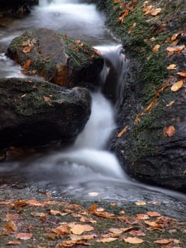 Autumn at the torrent