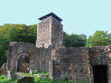 Neckarsteinach Castle