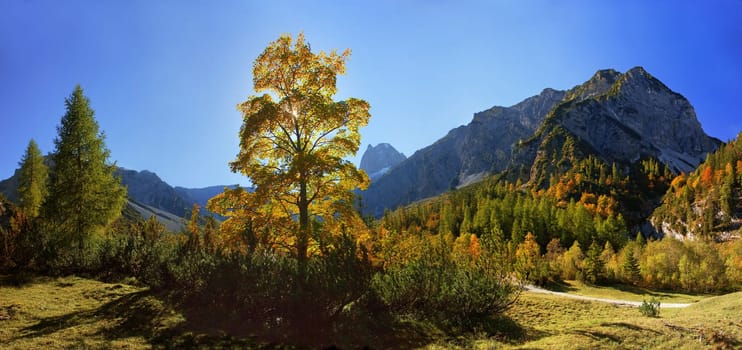 The picture was taken in the Falzthurntal near the Gramaialm near Lake Achensee. The Sonnjoch summit can be seen in the background. The image is composed of several portrait wide-angle images.