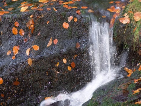 Torrent in autumn