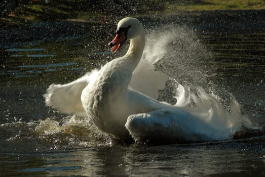 I'm still practicing when it comes to movement.......!:-)