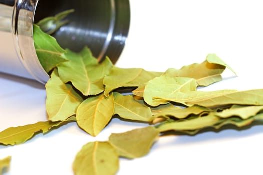 Bay leaves