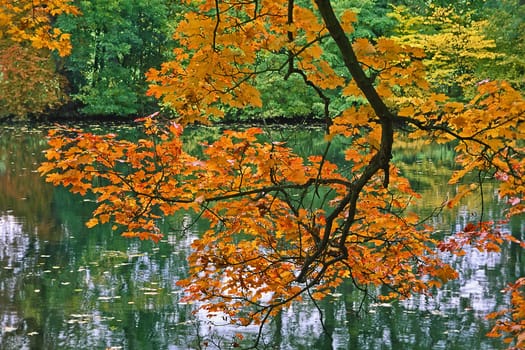Pond landscape in autumn 99-270-03