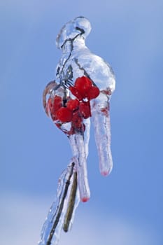 Red berries in ice cream,winter