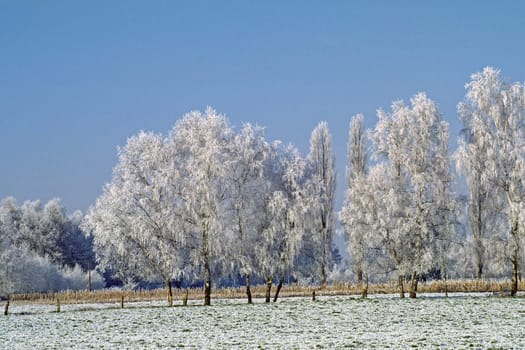 Winter landscape near Achmer