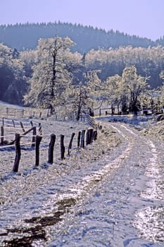 Winter Landscape after Freezing Rain,GMHütte