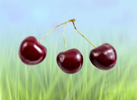 Cherries