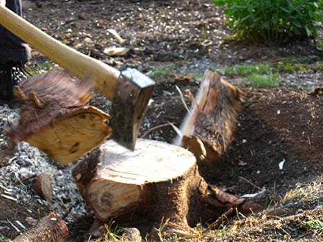 Firewood 3