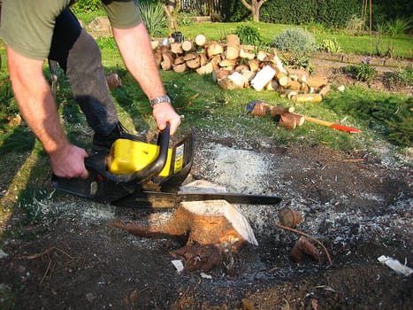 Firewood 4