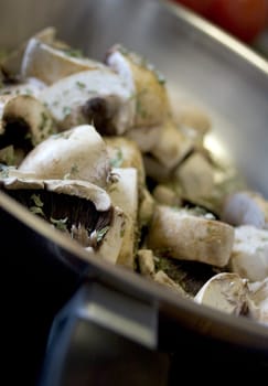 Mushrooms in the pan