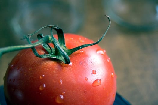 Tomato