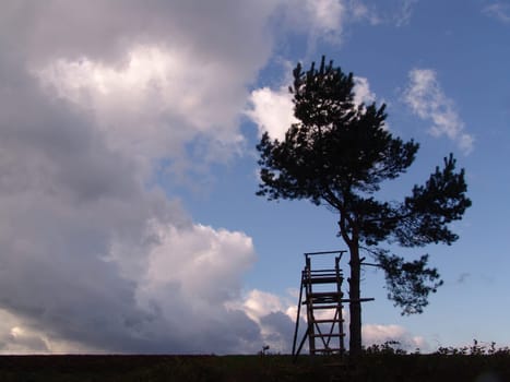 Hunter's seat