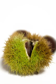 Chestnuts