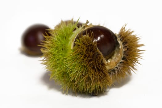Chestnuts