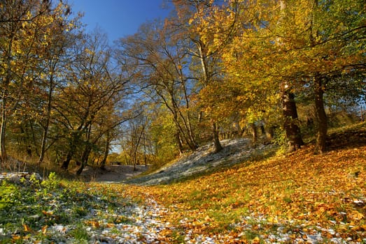 With this clear air,you can enjoy the beautiful autumn color even today,where the leaves are still lying....! Have a nice day everyone!