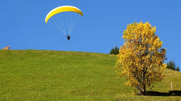 Attentive observation during the launch of a hang glider