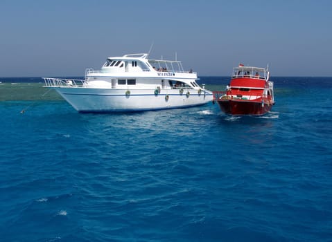 Taken in the Red Sea