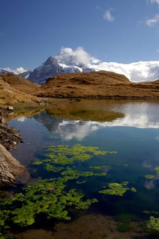 The Bachalpsee is a picturesque small mountain lake on the First above Grindelwald in the Bernese Oberland. It is located at 2,265 m.a.s.l. and consists of two parts,separated by a small natural dam,with the lower part being 6 meters lower. By se