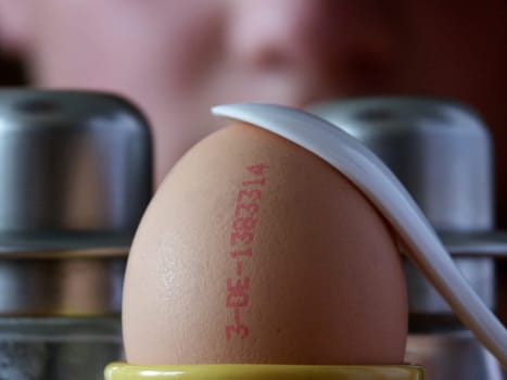 Breakfast egg