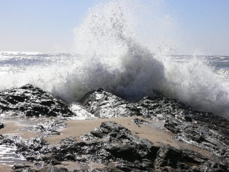 Portuguese Wave